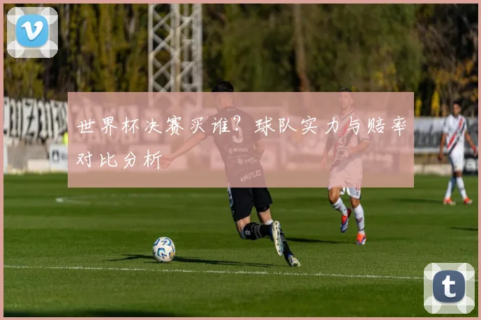 世界杯决赛买谁?球队实力与赔率对比分析